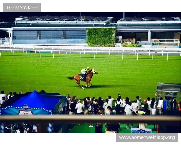 正式马会投注登录入口确保账户安全稳定支持多种投注方式体验流畅